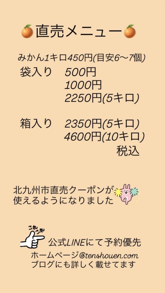 令和7年11月8日(土)直売開始 – 若松みかんの天正園
